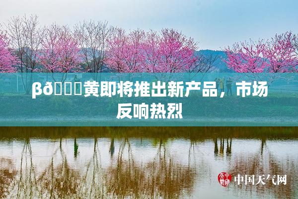 β🔞黄即将推出新产品，市场反响热烈