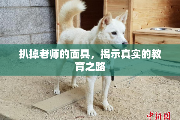 扒掉老师的面具，揭示真实的教育之路