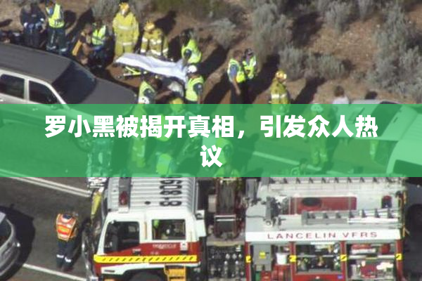罗小黑被揭开真相，引发众人热议