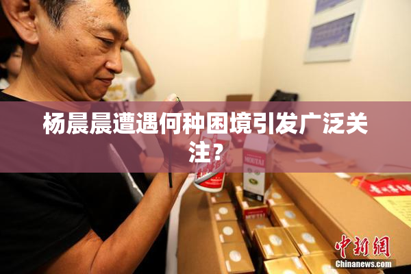 杨晨晨遭遇何种困境引发广泛关注？
