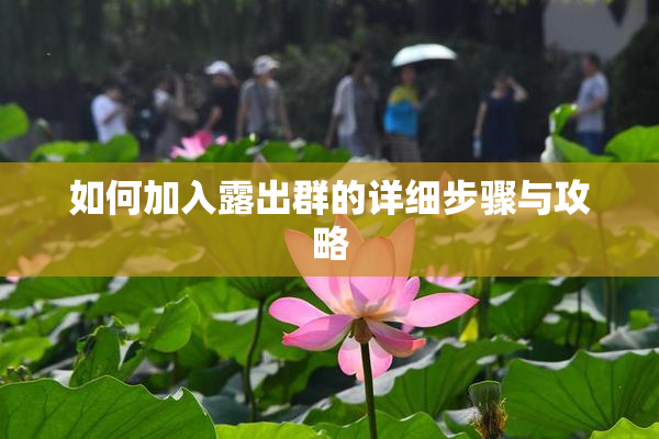 如何加入露出群的详细步骤与攻略
