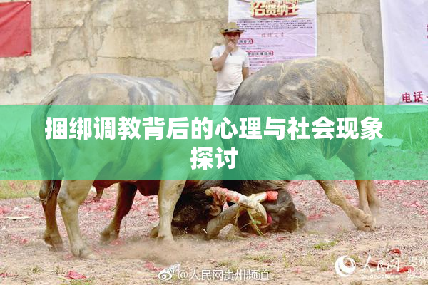 捆绑调教背后的心理与社会现象探讨
