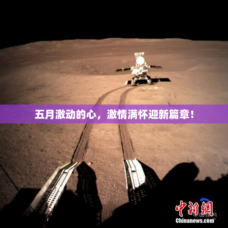 五月激动的心，激情满怀迎新篇章！