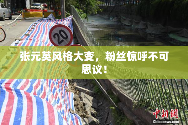 张元英风格大变，粉丝惊呼不可思议！