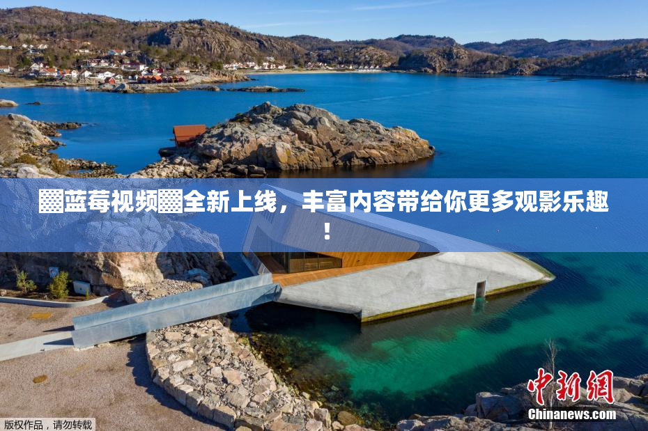 ▓蓝莓视频▓全新上线，丰富内容带给你更多观影乐趣！