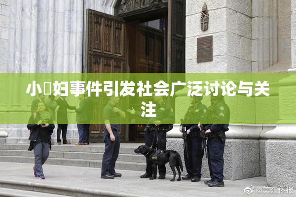 小婬妇事件引发社会广泛讨论与关注