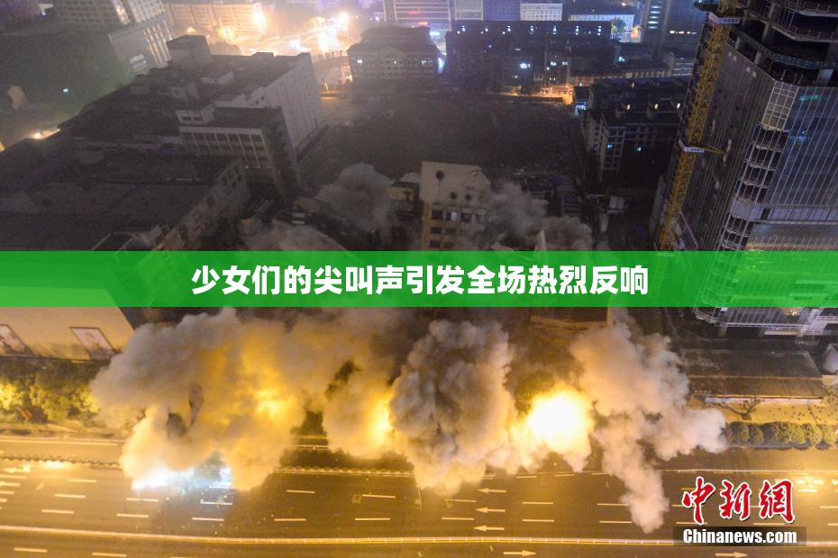 少女们的尖叫声引发全场热烈反响