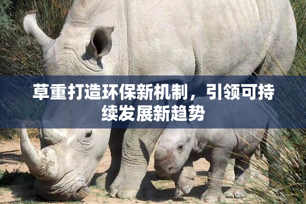 草重打造环保新机制，引领可持续发展新趋势