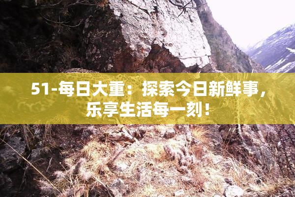 51-每日大重：探索今日新鲜事，乐享生活每一刻！