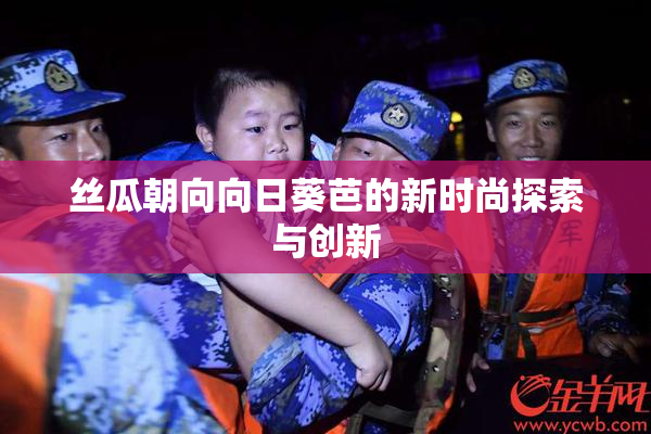 丝瓜朝向向日葵芭的新时尚探索与创新