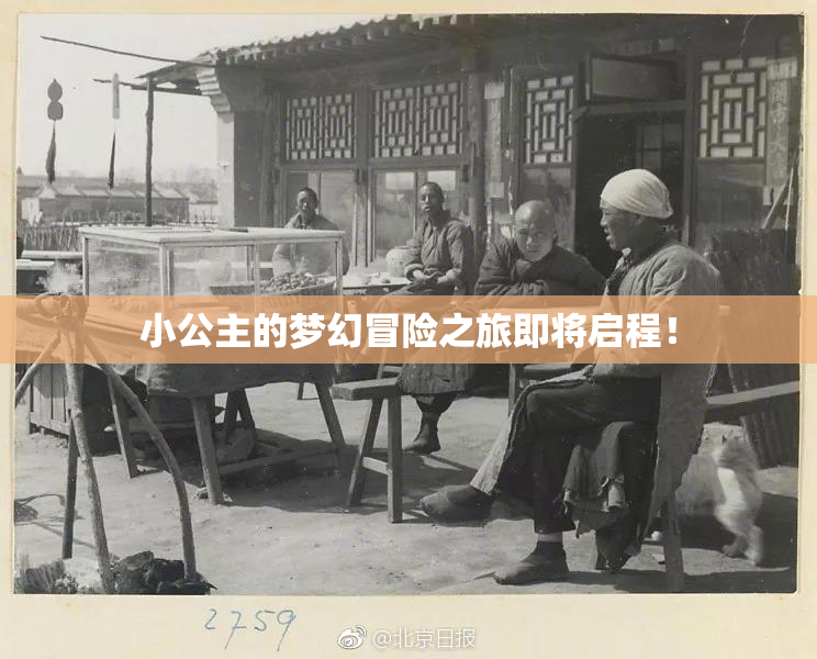 小公主的梦幻冒险之旅即将启程！