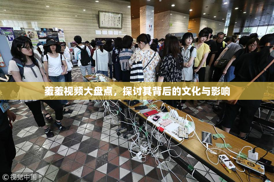 羞羞视频大盘点，探讨其背后的文化与影响