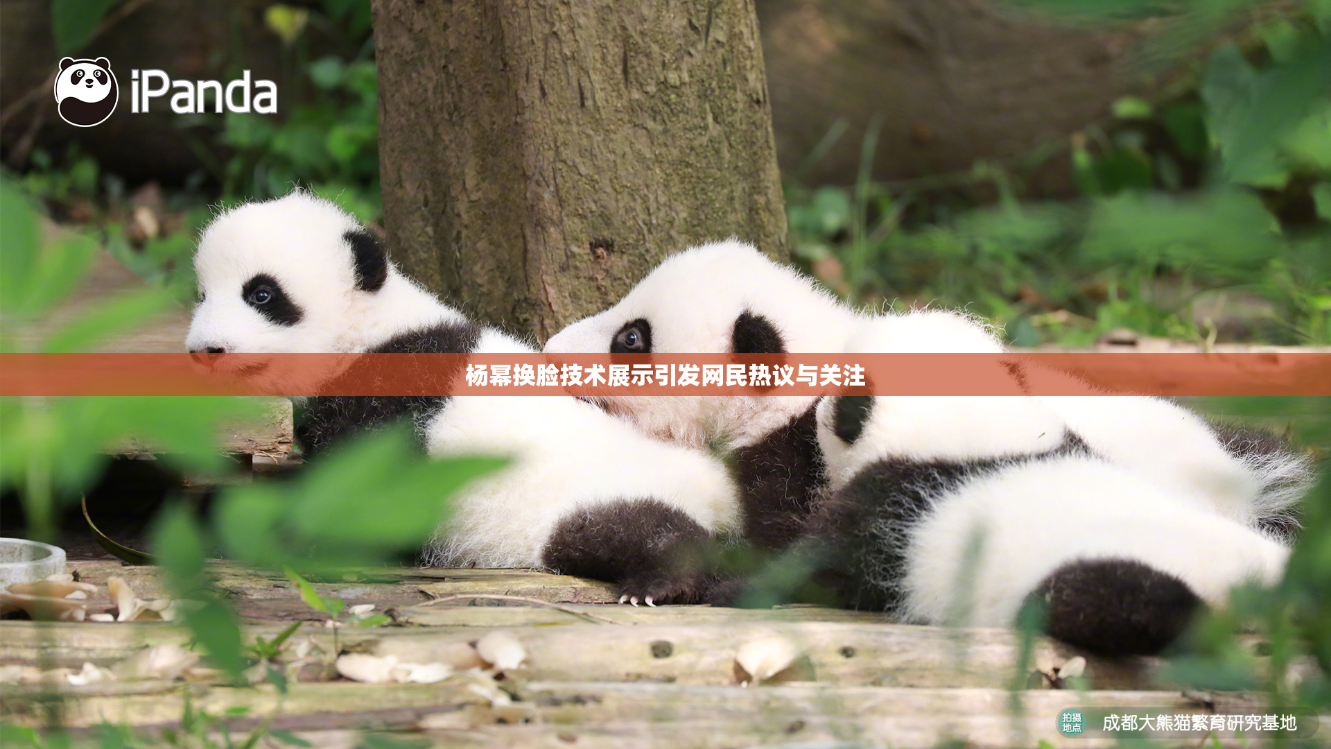 杨幂换脸技术展示引发网民热议与关注