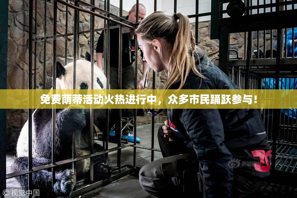免费荫蒂活动火热进行中，众多市民踊跃参与！