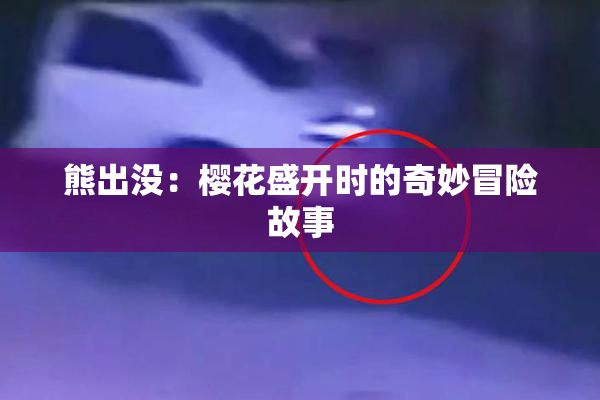 熊出没：樱花盛开时的奇妙冒险故事