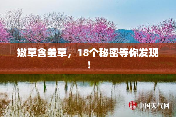 嫩草含羞草，18个秘密等你发现！