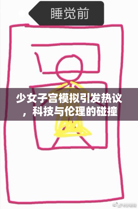 少女子宫模拟引发热议，科技与伦理的碰撞