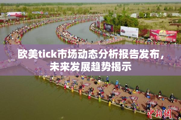 欧美tick市场动态分析报告发布，未来发展趋势揭示