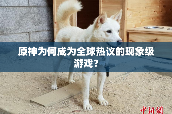 原神为何成为全球热议的现象级游戏？
