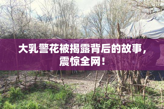 大乳警花被揭露背后的故事，震惊全网！