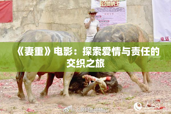 《妻重》电影：探索爱情与责任的交织之旅