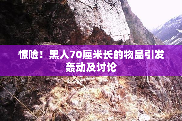 惊险！黑人70厘米长的物品引发轰动及讨论