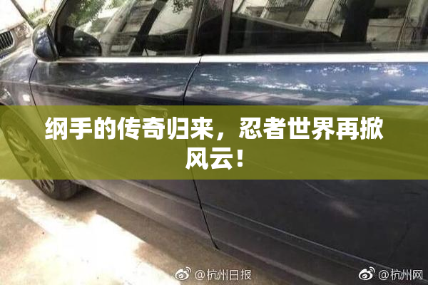 纲手的传奇归来，忍者世界再掀风云！