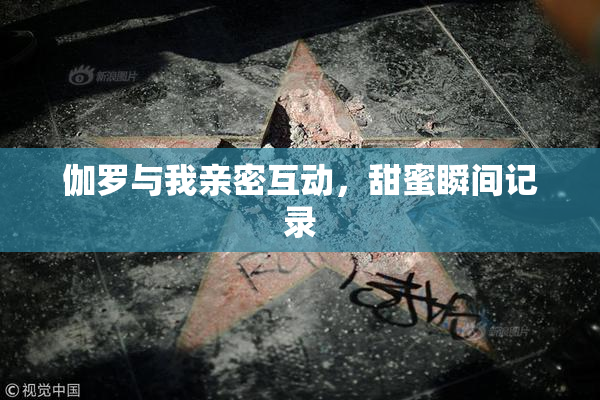 伽罗与我亲密互动，甜蜜瞬间记录
