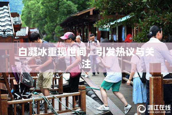 白凝冰重现世间，引发热议与关注