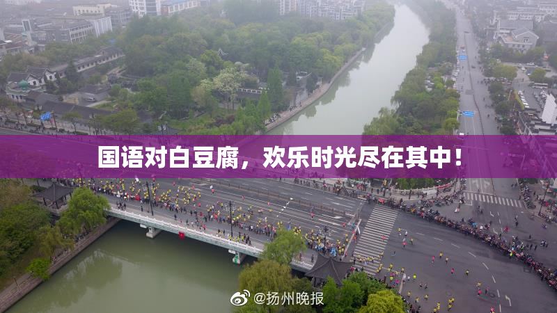 国语对白豆腐，欢乐时光尽在其中！