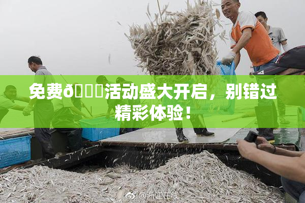 免费🔞活动盛大开启，别错过精彩体验！
