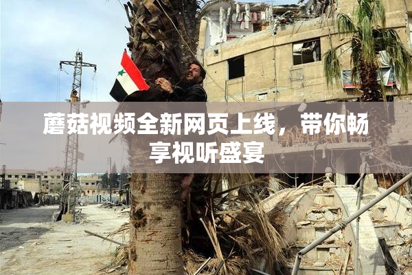 蘑菇视频全新网页上线，带你畅享视听盛宴