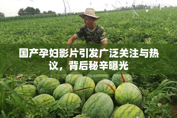国产孕妇影片引发广泛关注与热议，背后秘辛曝光