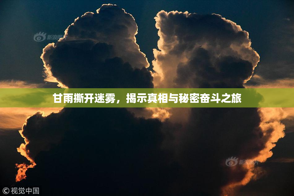 甘雨撕开迷雾，揭示真相与秘密奋斗之旅