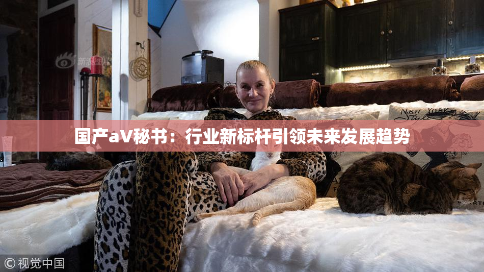 国产aV秘书：行业新标杆引领未来发展趋势