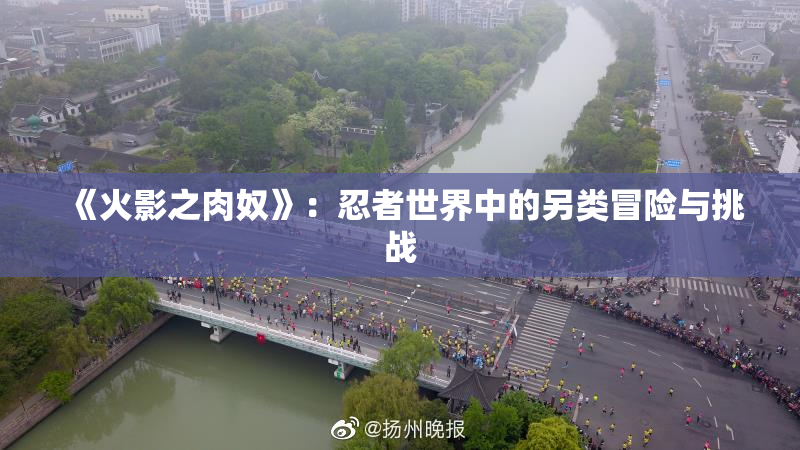 《火影之肉奴》：忍者世界中的另类冒险与挑战
