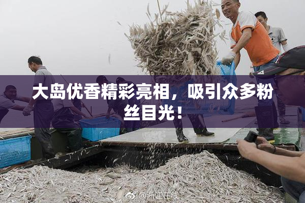 大岛优香精彩亮相，吸引众多粉丝目光！