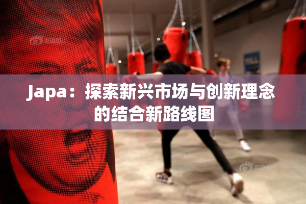 Japa：探索新兴市场与创新理念的结合新路线图