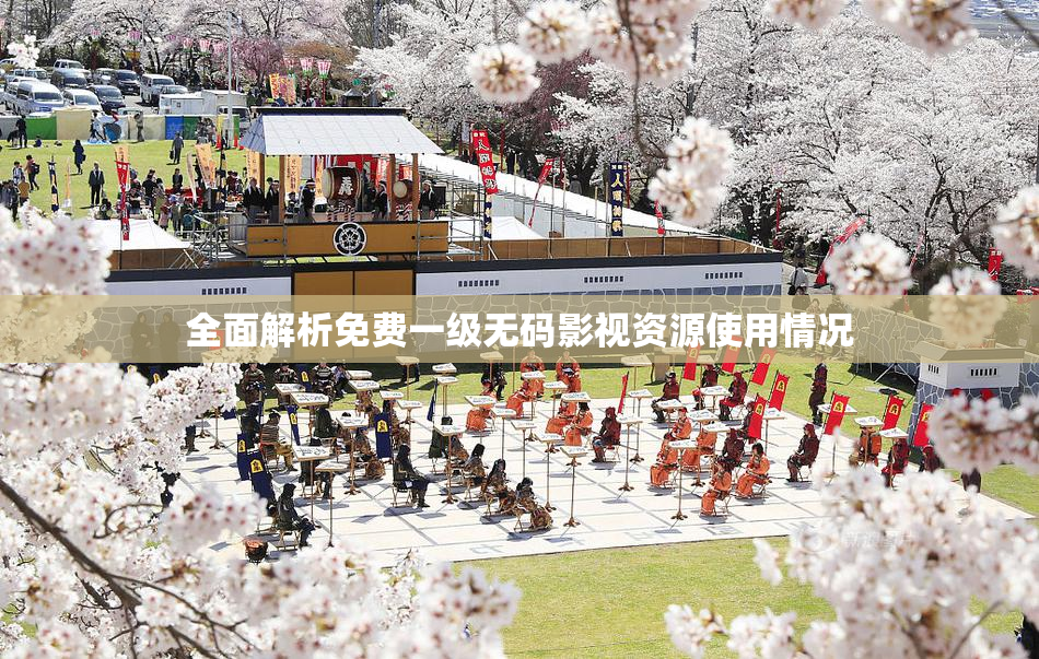 全面解析免费一级无码影视资源使用情况