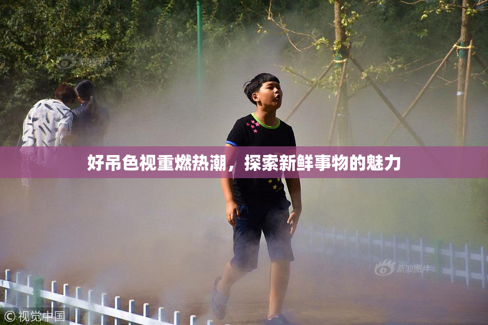 好吊色视重燃热潮，探索新鲜事物的魅力