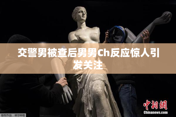 交警男被查后男男Ch反应惊人引发关注