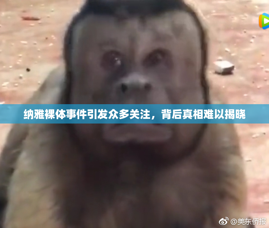 纳雅裸体事件引发众多关注，背后真相难以揭晓