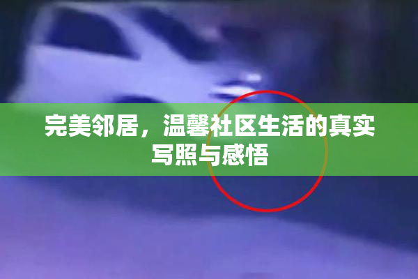 完美邻居，温馨社区生活的真实写照与感悟
