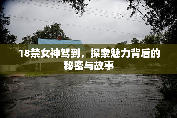 18禁女神驾到，探索魅力背后的秘密与故事