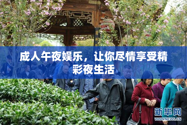 成人午夜娱乐，让你尽情享受精彩夜生活