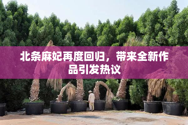 北条麻妃再度回归，带来全新作品引发热议