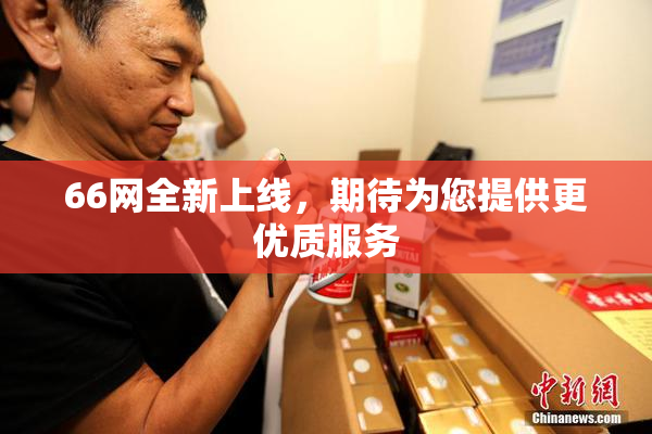 66网全新上线，期待为您提供更优质服务