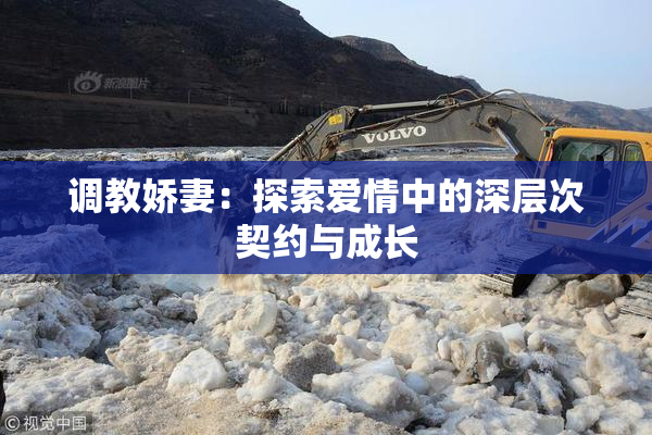 调教娇妻：探索爱情中的深层次契约与成长