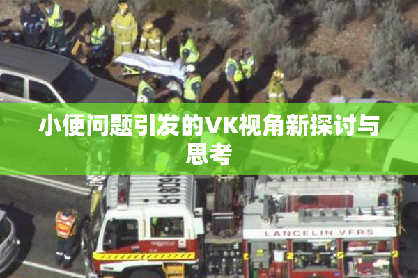 小便问题引发的VK视角新探讨与思考