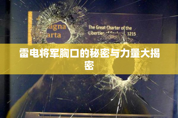 雷电将军胸口的秘密与力量大揭密